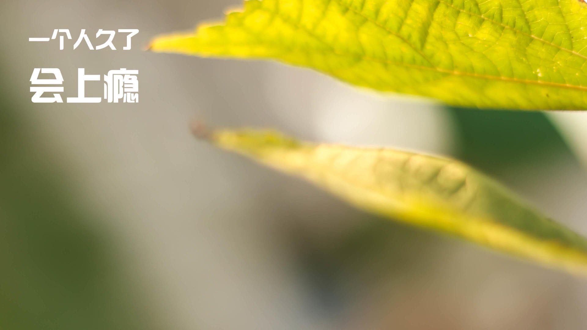 《Uzi宣布加入TOP战队，加盟背后蕴藏大秘密》，uzi团队