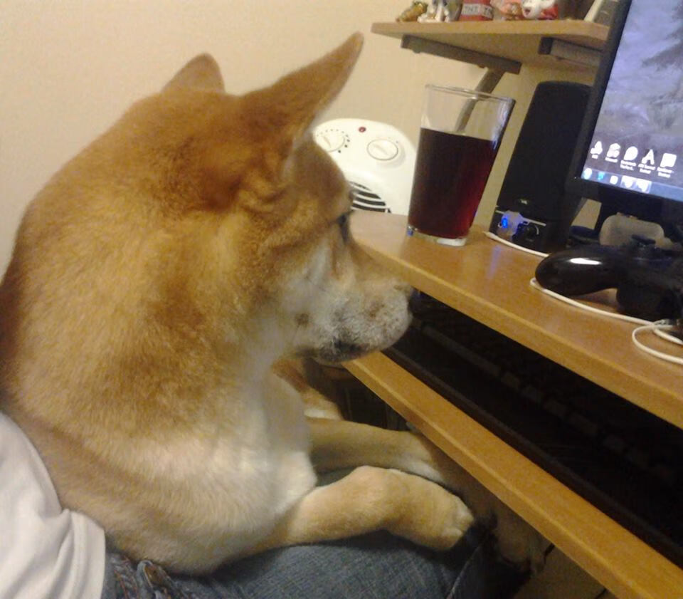 “青训明星教练实战经验丰富，指导少年成长”，青训教练收入