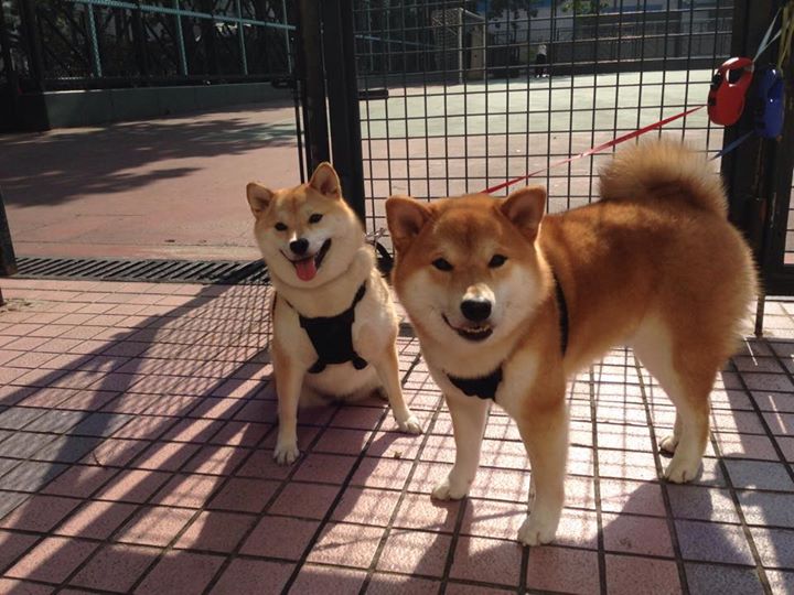 开云娱乐app安全登录-【世界顶级战】奥沙利文在比赛中如何巧妙设置陷阱？，奥沙利文怎么瞄准的