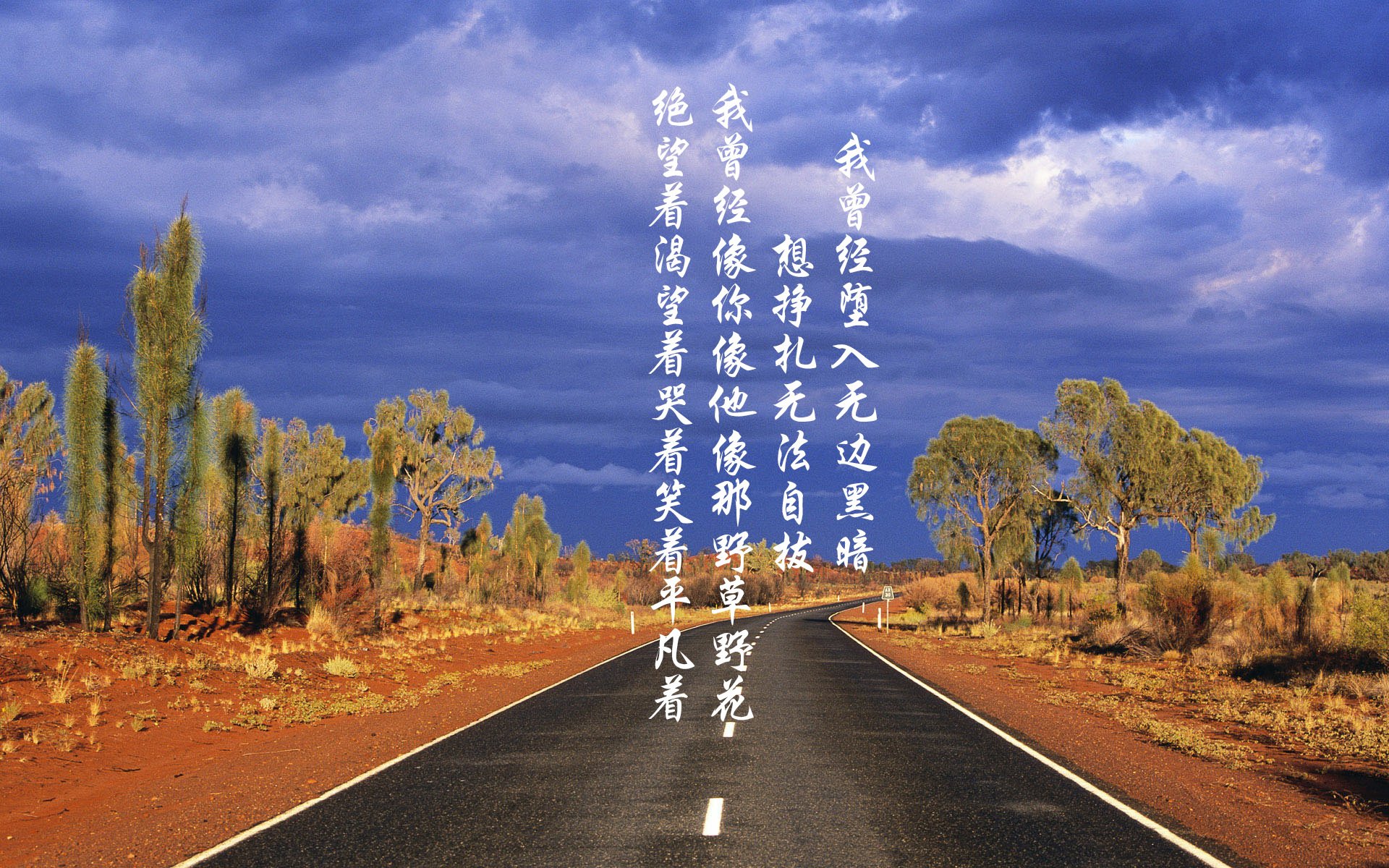 开云体育手机版-凯尔特人“新核”塔图姆，成为联盟最令人期待的年轻天才！，凯尔特人塔图姆今日集锦