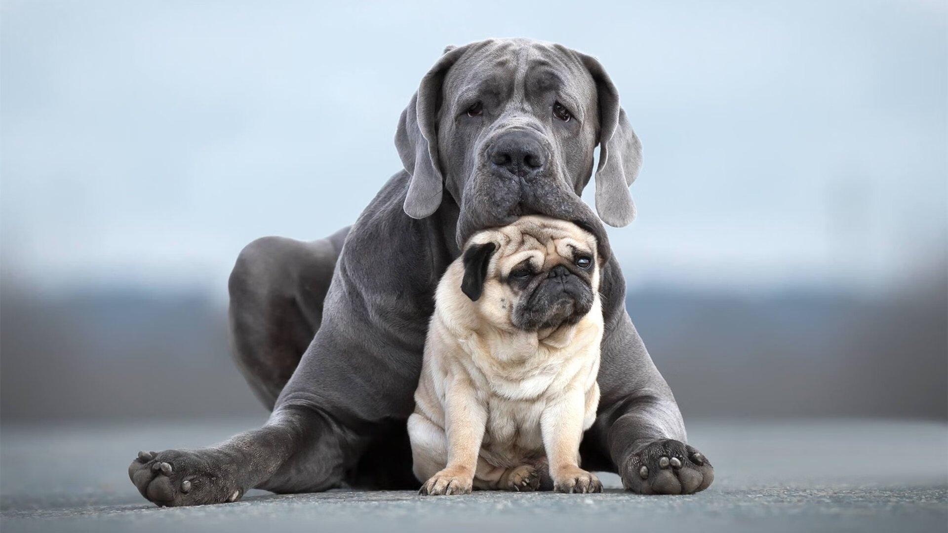 史上最“炸裂”灌篮：谁的动作最令人心跳加速？，灌篮动作什么意思