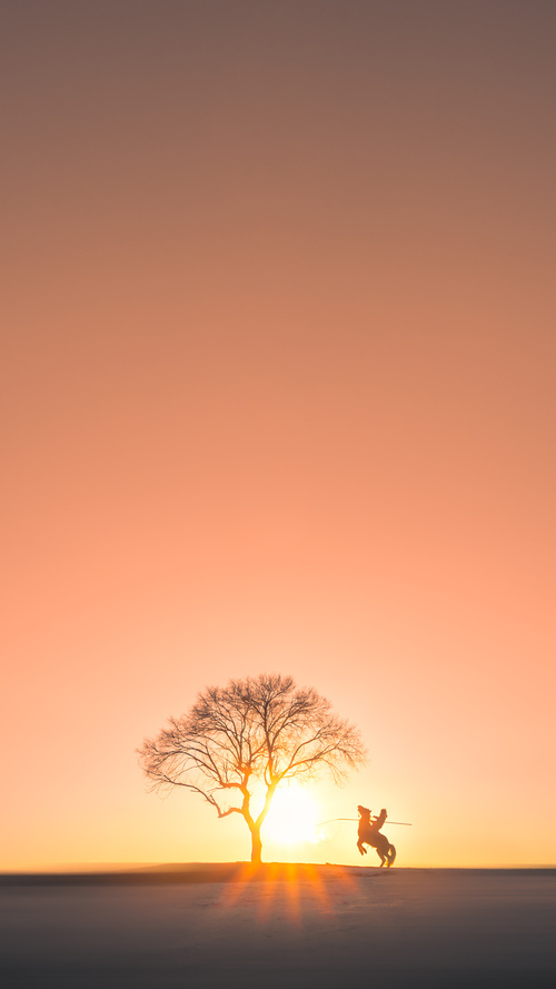 大洋彼岸冲浪盛典,感受海浪激荡的青春热血,大洋彼岸是谁