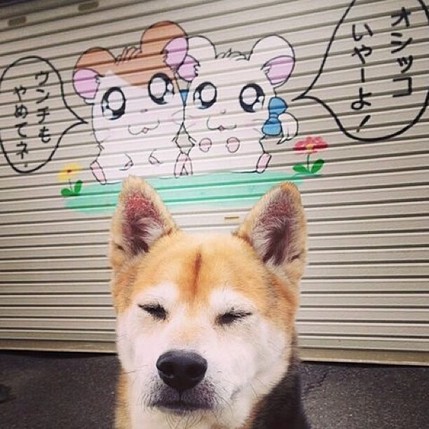 拔河比赛:团队合作展现无尽力量,拔河比赛阵容