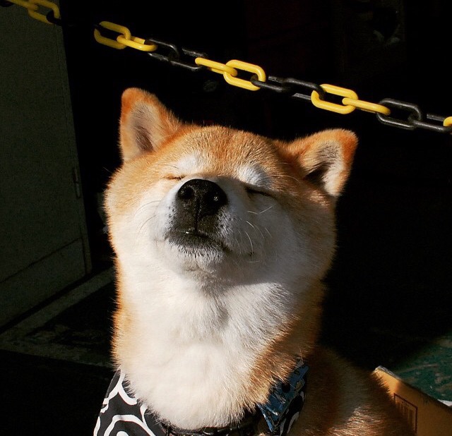 投票揭晓：最佳球员人气王是谁？，最佳人气选手