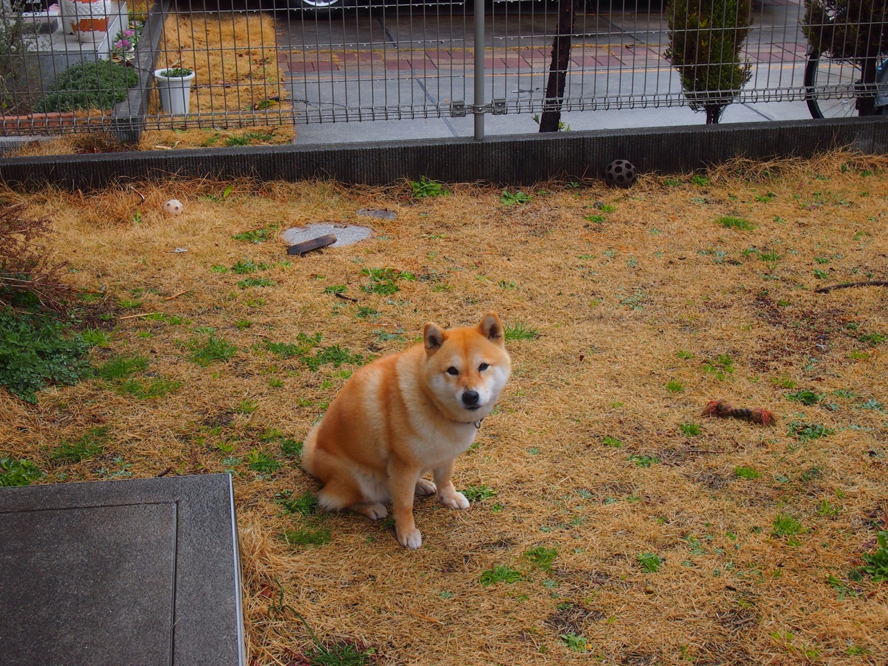 kaiyun-极限武术表演，古老技艺焕发新光彩，极限武术教学基础视频