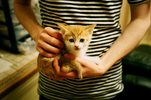 开云体育下载-由行业顶尖科研机构引领的青训技术创新成果不断转化，行业突飞猛进