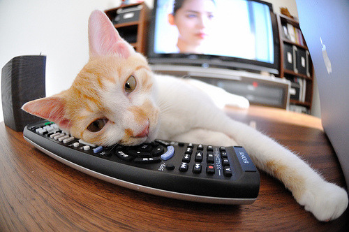 电竞企业年度大会顺利举办，行业大佬齐聚一堂，电竞行业大事