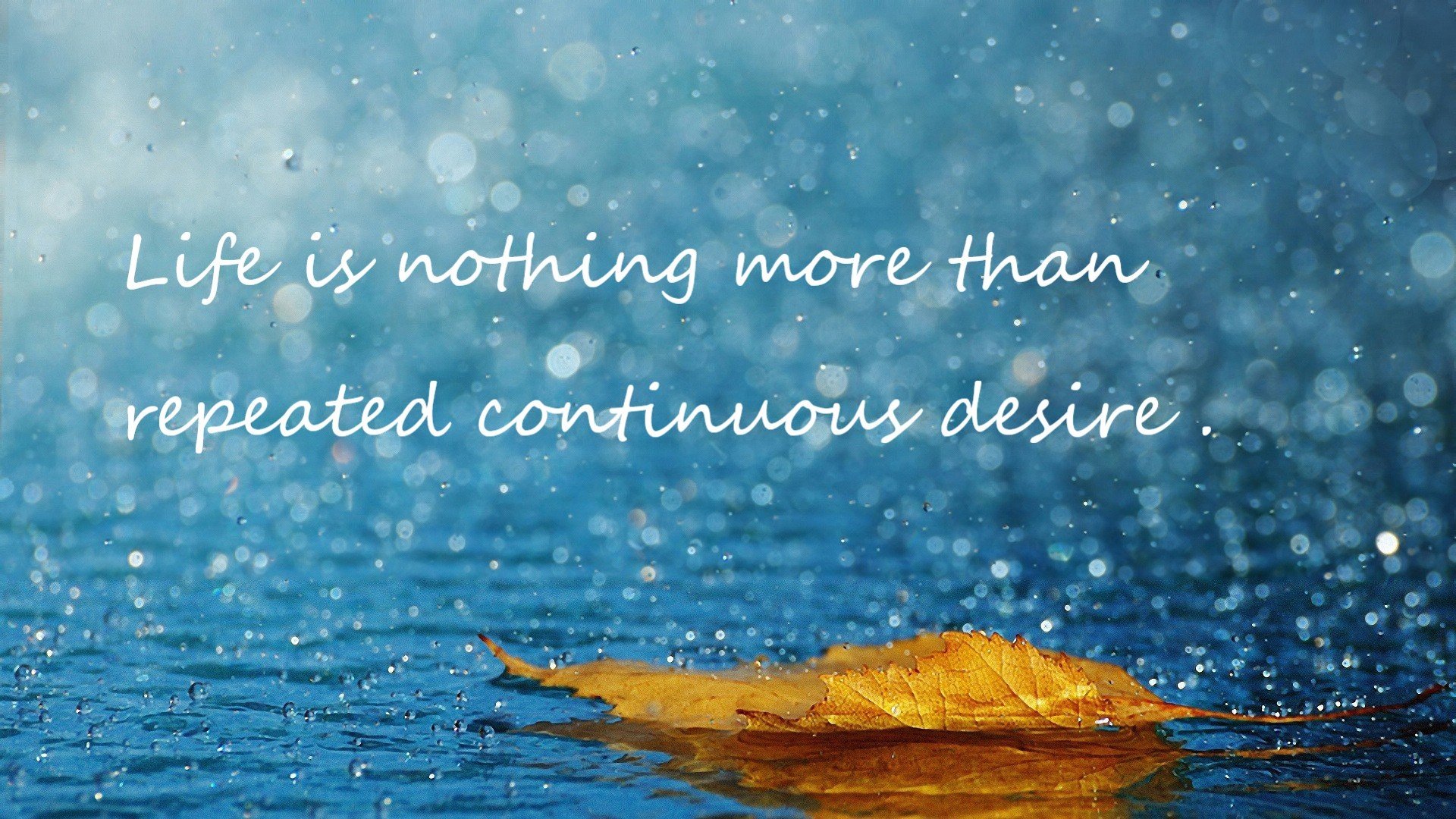 开云体育下载入口-篮板王：北京抢到48篮板，攻守兼备！