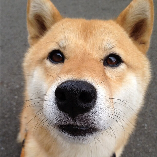 开云体育网址-退役巨星的“新使命”：从球场到公益的完美转型，退役巨星足球比赛