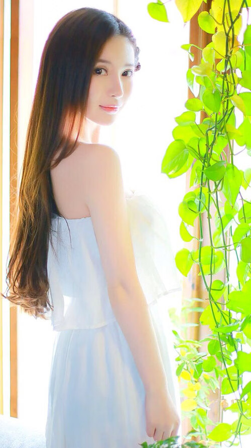 中超技术分析系统助力教练决策，中超顶级教练