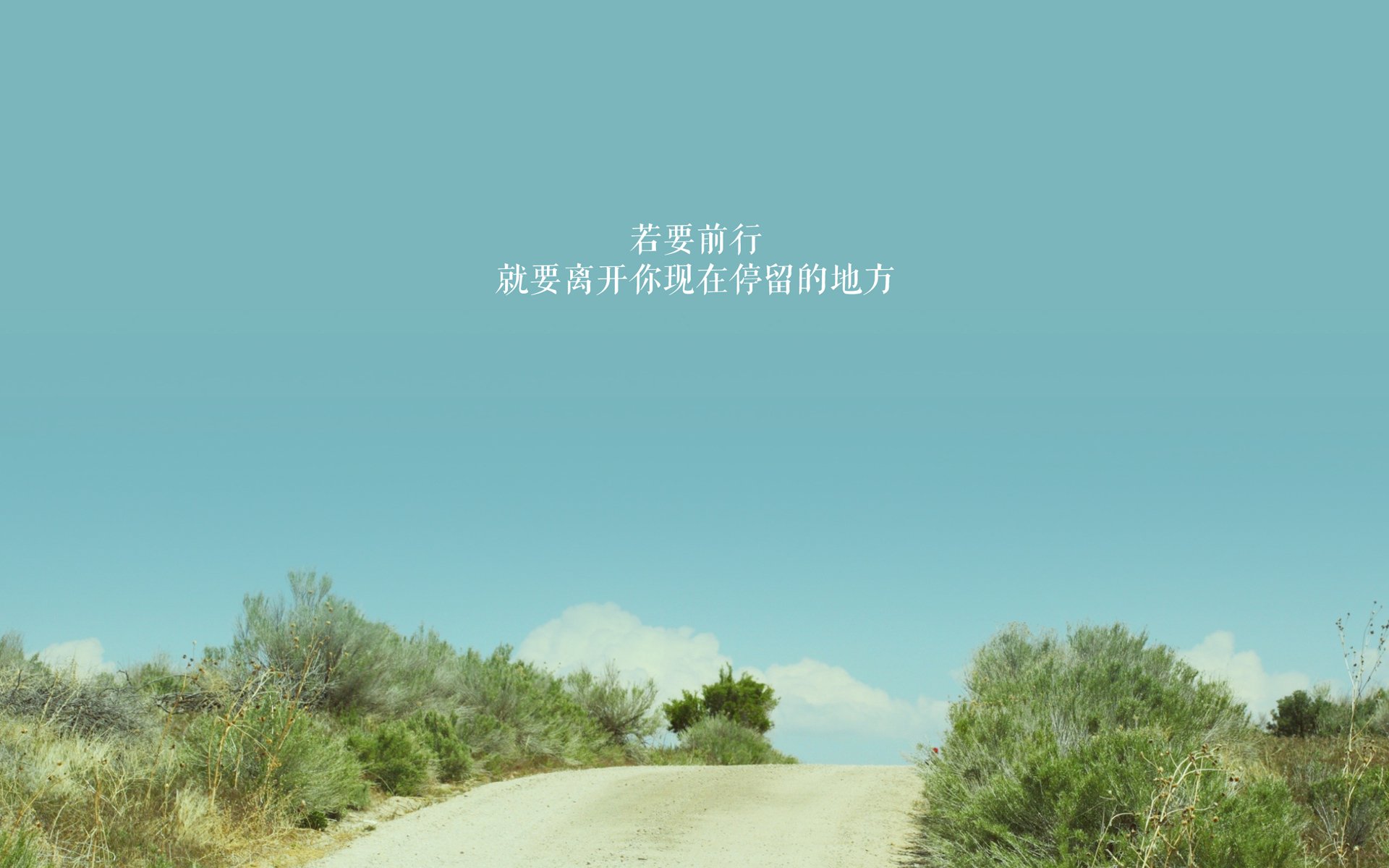 冠军之争！加拿大女足挑战世界杯冠军荷兰，加拿大女足夺得奥运金牌