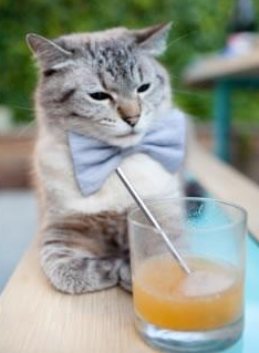 全国青少年攀岩夏令营在北京火热招生，攀岩青少年标准赛道